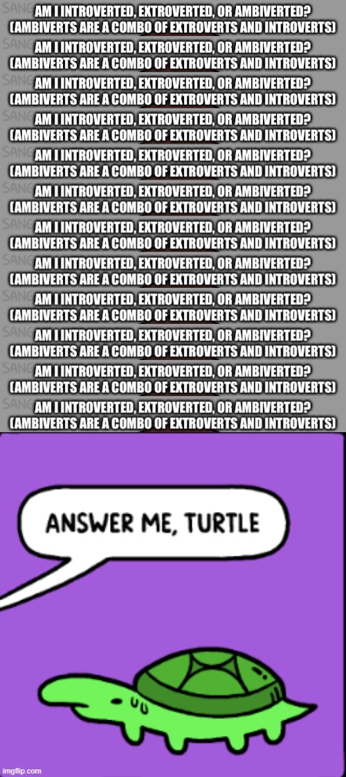image tagged in answer me turtle | made w/ Imgflip meme maker