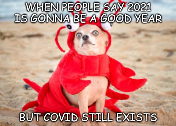 Lobster dog | WHEN PEOPLE SAY 2021 IS GONNA BE A GOOD YEAR; BUT COVID STILL EXISTS | image tagged in funny | made w/ Imgflip meme maker