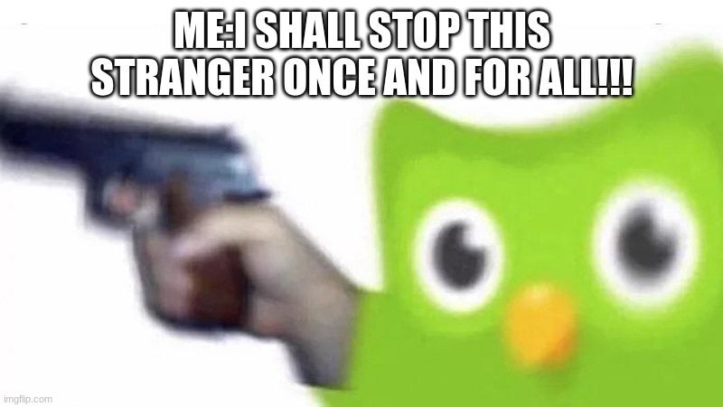 duolingo gun | ME:I SHALL STOP THIS STRANGER ONCE AND FOR ALL!!! | image tagged in duolingo gun | made w/ Imgflip meme maker