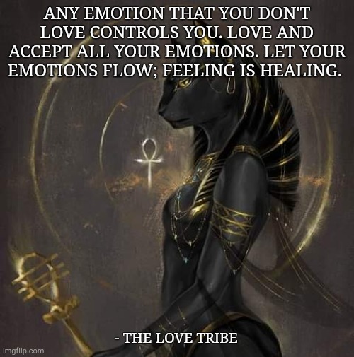 ANY EMOTION THAT YOU DON'T LOVE CONTROLS YOU. LOVE AND ACCEPT ALL YOUR EMOTIONS. LET YOUR EMOTIONS FLOW; FEELING IS HEALING. - THE LOVE TRIBE | made w/ Imgflip meme maker