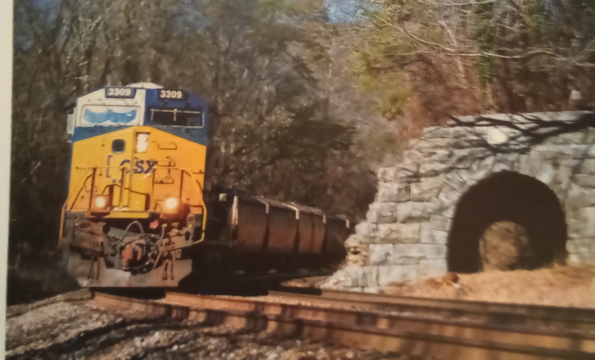 Why The Tunnel??? Blank Meme Template