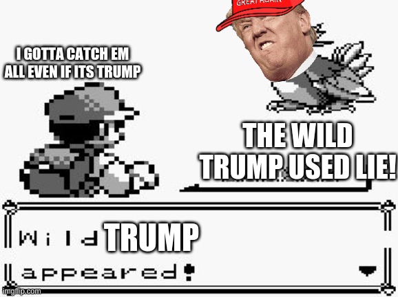 pokemon appears | I GOTTA CATCH EM ALL EVEN IF ITS TRUMP; THE WILD TRUMP USED LIE! TRUMP | image tagged in pokemon appears | made w/ Imgflip meme maker