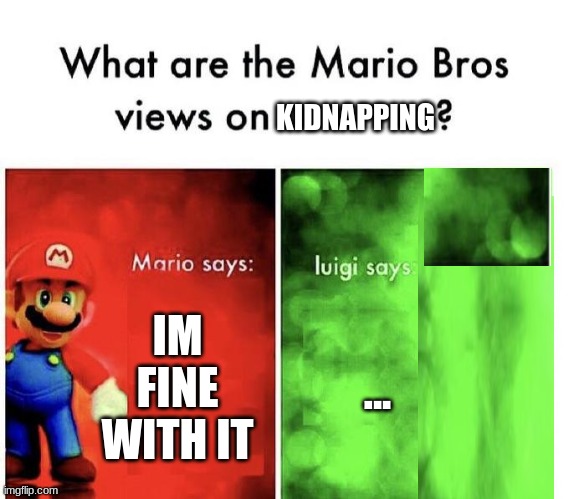 Mario Bros Views | KIDNAPPING; IM FINE WITH IT; ... | image tagged in mario bros views | made w/ Imgflip meme maker