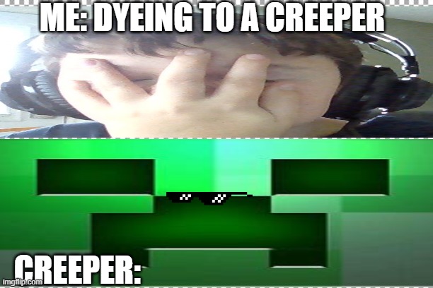ME: DYEING TO A CREEPER; CREEPER: | image tagged in minecraft creeper | made w/ Imgflip meme maker
