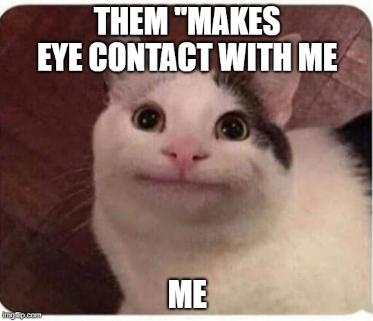Polite Cat |  THEM "MAKES EYE CONTACT WITH ME; ME | image tagged in polite cat | made w/ Imgflip meme maker