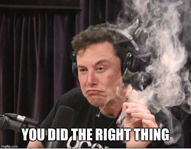Elon Musk smoking a joint | YOU DID THE RIGHT THING | image tagged in elon musk smoking a joint | made w/ Imgflip meme maker