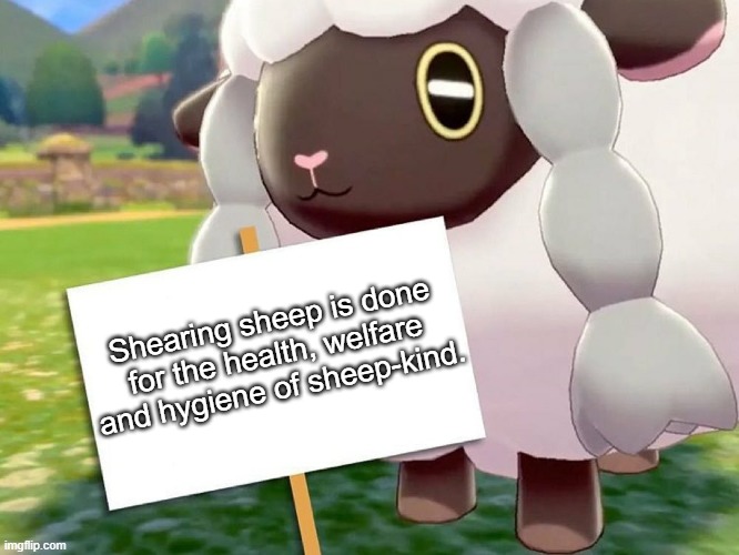 wooloo meme | Shearing sheep is done for the health, welfare and hygiene of sheep-kind. | image tagged in wooloo blank sign,wooloo | made w/ Imgflip meme maker