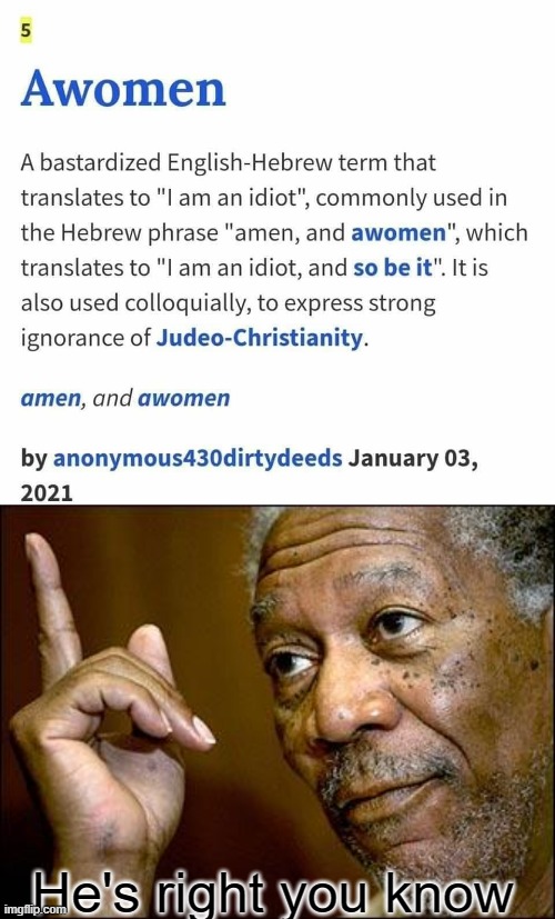 A moron | He's right you know | image tagged in this morgan freeman | made w/ Imgflip meme maker