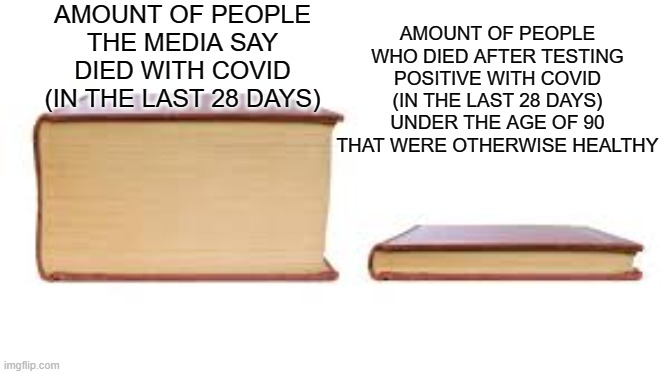 Covid Truth |  AMOUNT OF PEOPLE THE MEDIA SAY DIED WITH COVID (IN THE LAST 28 DAYS); AMOUNT OF PEOPLE WHO DIED AFTER TESTING POSITIVE WITH COVID (IN THE LAST 28 DAYS) UNDER THE AGE OF 90 THAT WERE OTHERWISE HEALTHY | image tagged in big book small book,covid-19,covid19,covid,coronavirus,scammers | made w/ Imgflip meme maker