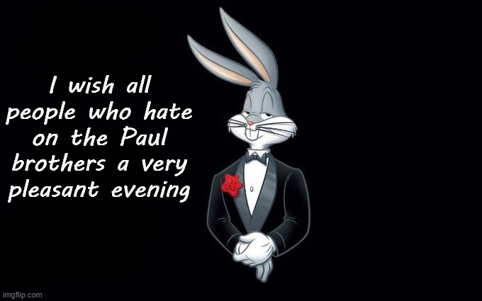 I personally despise them | I wish all people who hate on the Paul brothers a very pleasant evening | image tagged in i wish all the x a very pleasant evening | made w/ Imgflip meme maker