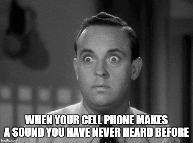 BrrrrifzzzzzzzBAPBAPwwwheeeeeeee! | WHEN YOUR CELL PHONE MAKES A SOUND YOU HAVE NEVER HEARD BEFORE | image tagged in shocked face,phone,cell phone,funny memes | made w/ Imgflip meme maker