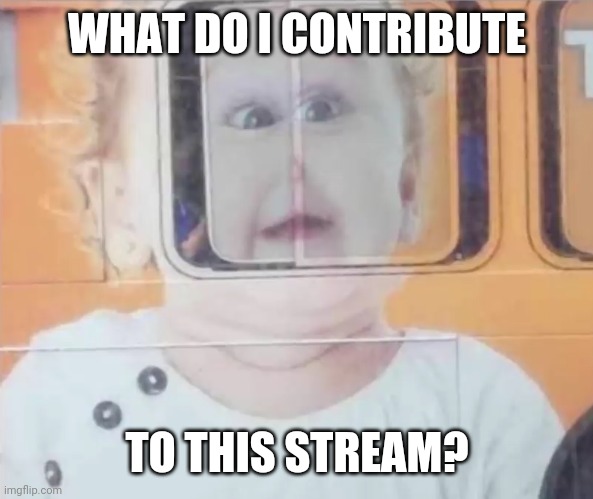 Retarded bus window child | WHAT DO I CONTRIBUTE; TO THIS STREAM? | image tagged in retarded bus window child | made w/ Imgflip meme maker