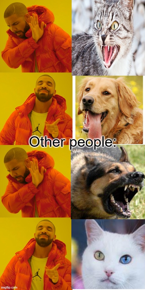 Which is your favorite? | Other people: | image tagged in memes,drake hotline bling | made w/ Imgflip meme maker