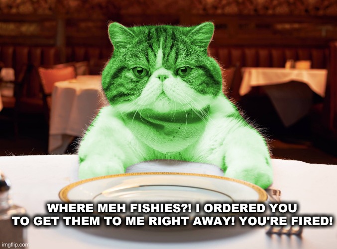 cats be like: | WHERE MEH FISHIES?! I ORDERED YOU TO GET THEM TO ME RIGHT AWAY! YOU'RE FIRED! | image tagged in raycat hungry | made w/ Imgflip meme maker