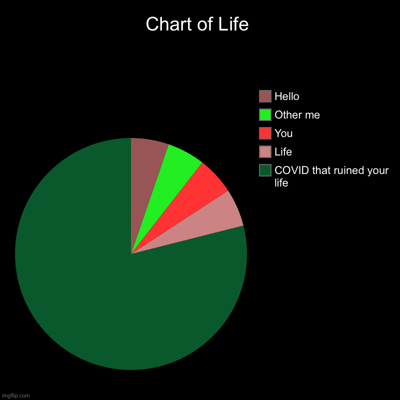 Chart of life | Chart of Life | COVID that ruined your life, Life, You, Other me, Hello | image tagged in charts,pie charts | made w/ Imgflip chart maker