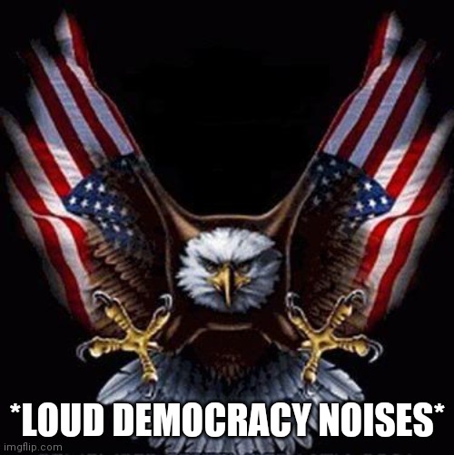 Bald Eagle | *LOUD DEMOCRACY NOISES* | image tagged in bald eagle | made w/ Imgflip meme maker