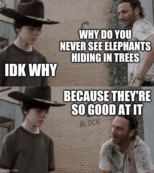 Rick and Carl Meme | WHY DO YOU NEVER SEE ELEPHANTS HIDING IN TREES; IDK WHY; BECAUSE THEY'RE SO GOOD AT IT | image tagged in memes,rick and carl | made w/ Imgflip meme maker