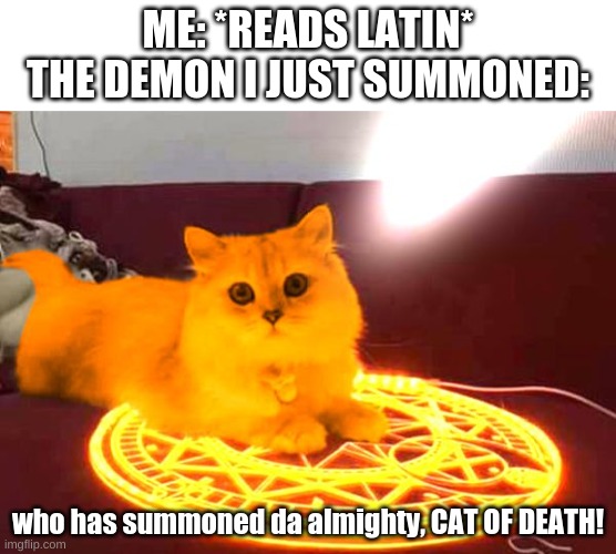 da cat of death | ME: *READS LATIN*
THE DEMON I JUST SUMMONED:; who has summoned da almighty, CAT OF DEATH! | made w/ Imgflip meme maker