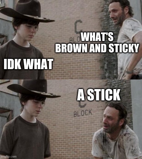 Rick and Carl | WHAT'S BROWN AND STICKY; IDK WHAT; A STICK | image tagged in memes,rick and carl | made w/ Imgflip meme maker
