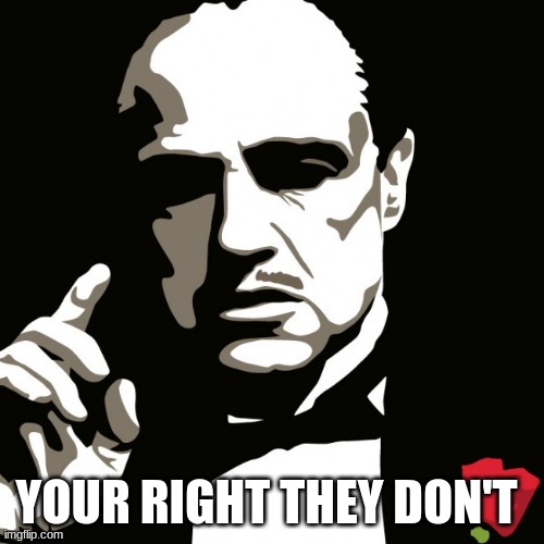 ganster | YOUR RIGHT THEY DON'T | image tagged in ganster | made w/ Imgflip meme maker