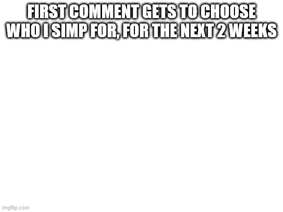 Blank White Template | FIRST COMMENT GETS TO CHOOSE WHO I SIMP FOR, FOR THE NEXT 2 WEEKS | image tagged in blank white template | made w/ Imgflip meme maker