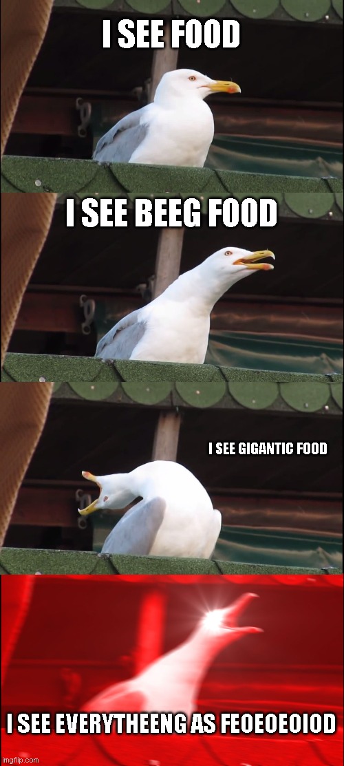 Inhaling Seagull | I SEE FOOD; I SEE BEEG FOOD; I SEE GIGANTIC FOOD; I SEE EVERYTHEENG AS FEOEOEOIOD | image tagged in memes,inhaling seagull | made w/ Imgflip meme maker