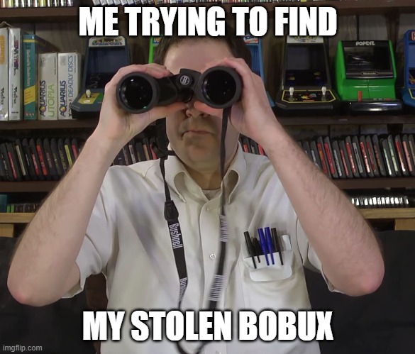 AVGN - Magnified vision | ME TRYING TO FIND; MY STOLEN BOBUX | image tagged in avgn - magnified vision | made w/ Imgflip meme maker