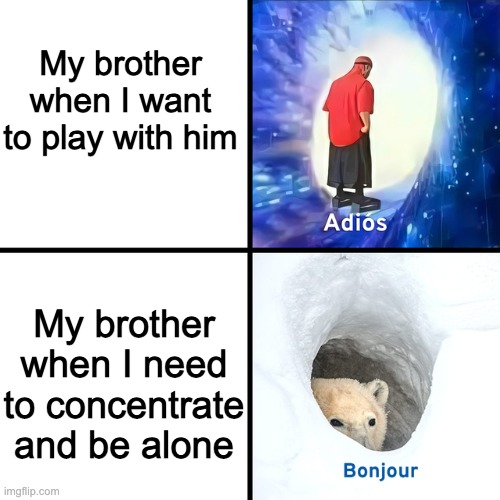 Adios Amigo, Bonjour Ami | My brother when I want to play with him; My brother when I need to concentrate and be alone | image tagged in adios bonjour | made w/ Imgflip meme maker