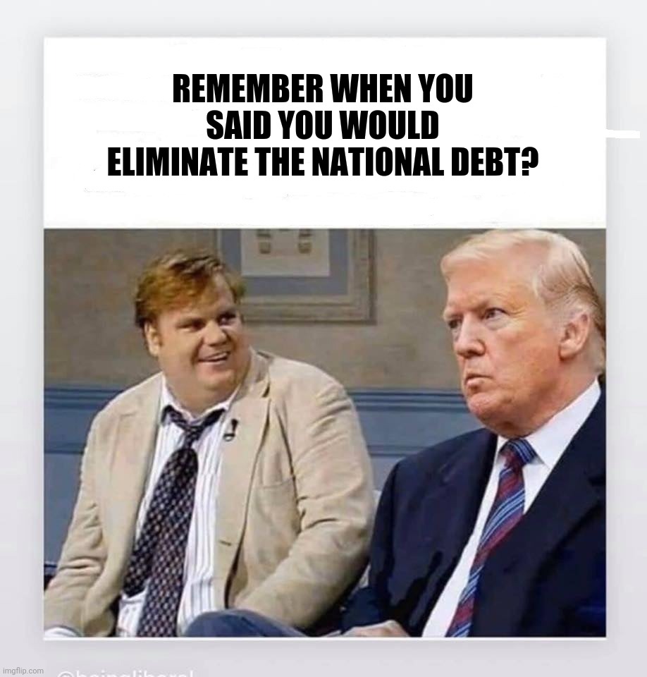 Candy Trump | REMEMBER WHEN YOU SAID YOU WOULD ELIMINATE THE NATIONAL DEBT? | image tagged in candy trump | made w/ Imgflip meme maker