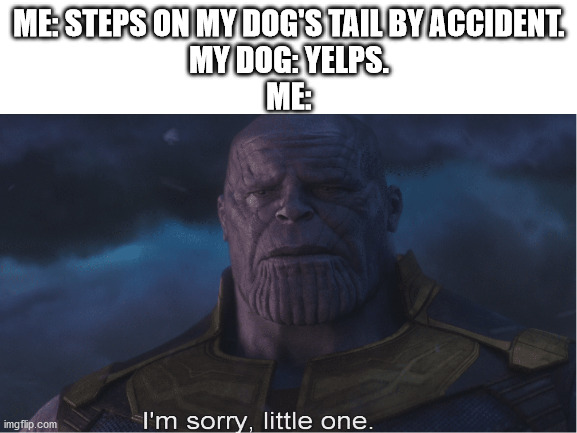 This isn't love. | ME: STEPS ON MY DOG'S TAIL BY ACCIDENT.
MY DOG: YELPS.
ME: | image tagged in thanos i'm sorry little one,avengers infinity war,thanos | made w/ Imgflip meme maker