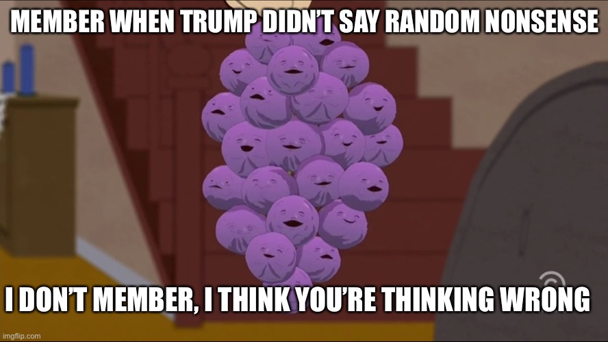 Member Berries | MEMBER WHEN TRUMP DIDN’T SAY RANDOM NONSENSE; I DON’T MEMBER, I THINK YOU’RE THINKING WRONG | image tagged in memes,member berries | made w/ Imgflip meme maker