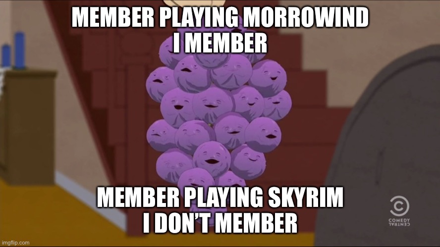 Member Berries Meme | MEMBER PLAYING MORROWIND
I MEMBER; MEMBER PLAYING SKYRIM
I DON’T MEMBER | image tagged in memes,member berries | made w/ Imgflip meme maker