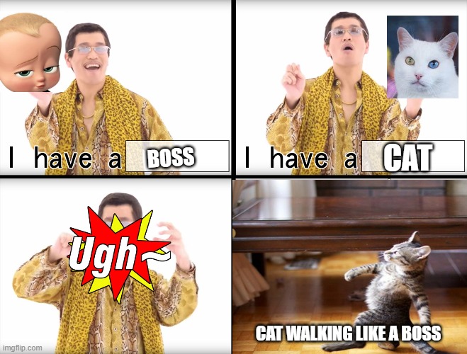 CAT; BOSS; CAT WALKING LIKE A BOSS | image tagged in ppap,boss,cat,like a boss | made w/ Imgflip meme maker