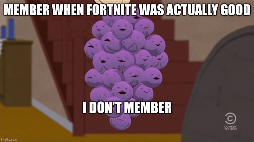 Member Berries Meme | MEMBER WHEN FORTNITE WAS ACTUALLY GOOD; I DON’T MEMBER | image tagged in memes,member berries | made w/ Imgflip meme maker