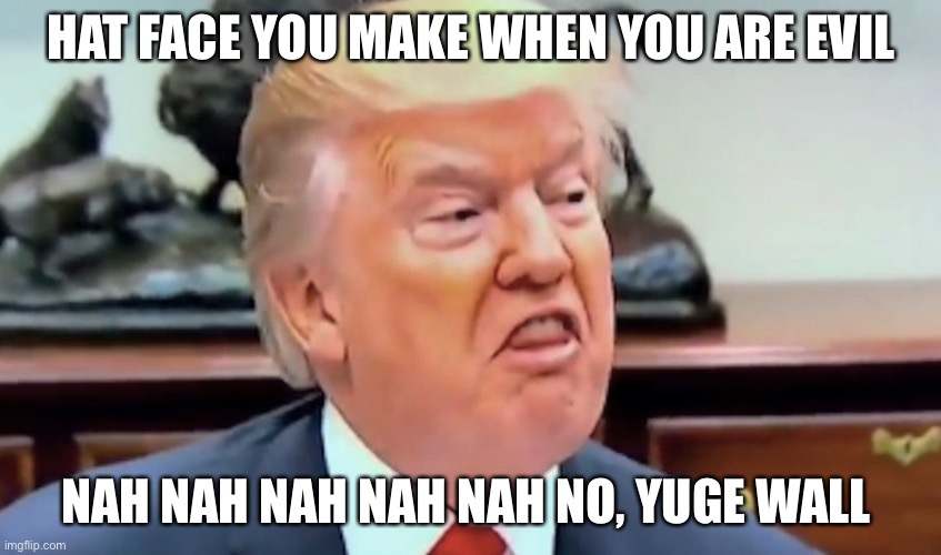 trump thicc | HAT FACE YOU MAKE WHEN YOU ARE EVIL; NAH NAH NAH NAH NAH NO, YUGE WALL | image tagged in trump thicc | made w/ Imgflip meme maker