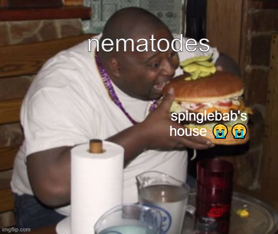 nah they all up on sopsolededenjchbob | nematodes; spinglebab's house 😭😭 | image tagged in fat guy eating burger | made w/ Imgflip meme maker