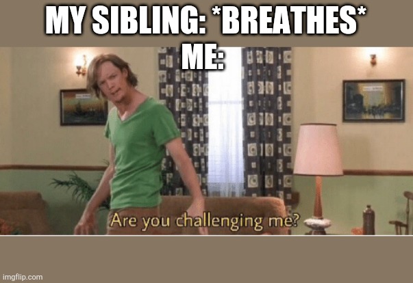 are you challenging me | MY SIBLING: *BREATHES*; ME: | image tagged in are you challenging me | made w/ Imgflip meme maker