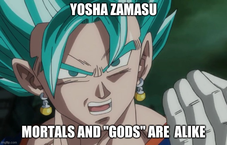 MLG Vegito | YOSHA ZAMASU MORTALS AND "GODS" ARE  ALIKE | image tagged in mlg vegito | made w/ Imgflip meme maker