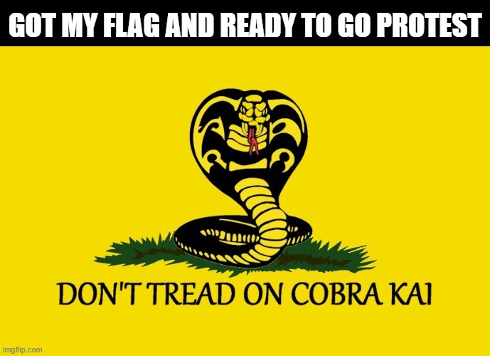 GOT MY FLAG AND READY TO GO PROTEST | image tagged in 2020,donald trump approves,funny,politics | made w/ Imgflip meme maker