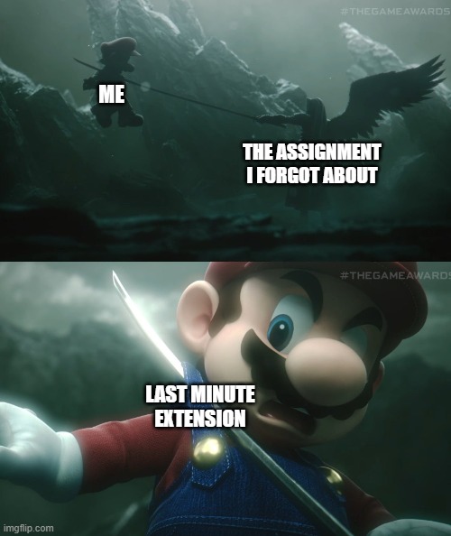 (¬_¬ ) | ME; THE ASSIGNMENT I FORGOT ABOUT; LAST MINUTE EXTENSION | image tagged in sephiroth stabbing mario,memes,school | made w/ Imgflip meme maker