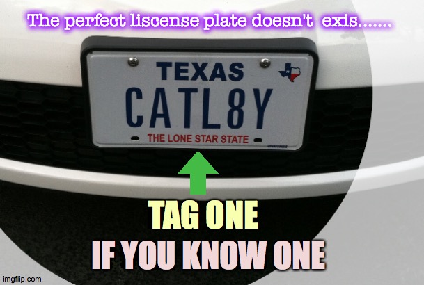 Tag one | The perfect liscense plate doesn't  exis....... TAG ONE; IF YOU KNOW ONE | image tagged in catl8y,tag,one,know,texas,aww | made w/ Imgflip meme maker