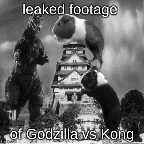 Leaked footage of Godzilla vs Kong | leaked footage; of Godzilla vs Kong | image tagged in memes | made w/ Imgflip meme maker
