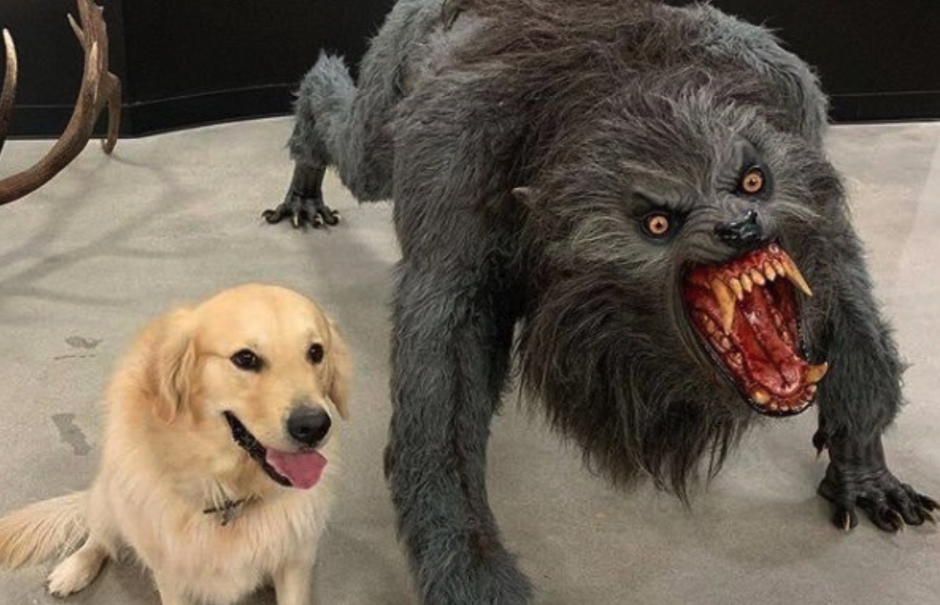 High Quality Dog vs Werewolf Blank Meme Template