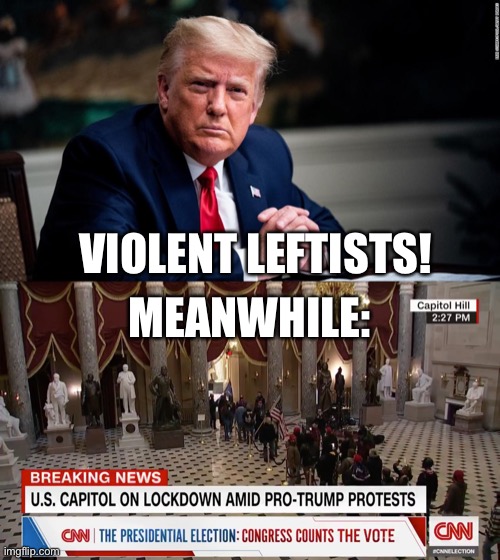 Wtf | VIOLENT LEFTISTS! MEANWHILE: | image tagged in trump | made w/ Imgflip meme maker