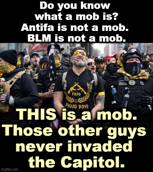 Enemies of the United States Constitution. | Do you know 
what a mob is?
Antifa is not a mob. 
BLM is not a mob. THIS is a mob.
Those other guys 
never invaded 
the Capitol. | image tagged in trump,right wing,terrorism,america,small | made w/ Imgflip meme maker