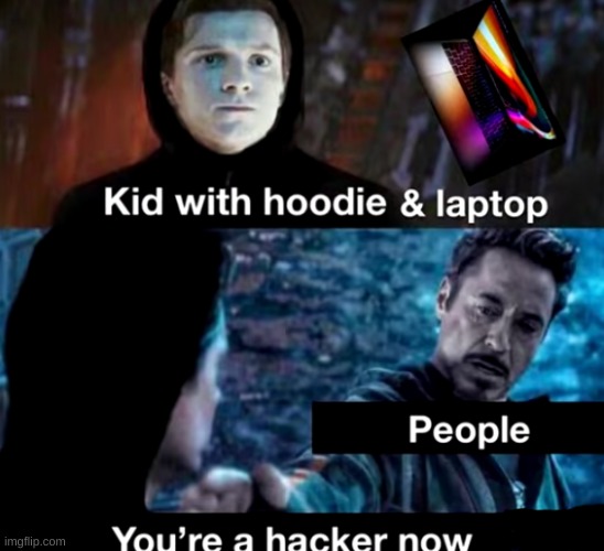 the hack go brrrr | image tagged in memes,funny,pandaboyplaysyt,hackers,gaming | made w/ Imgflip meme maker