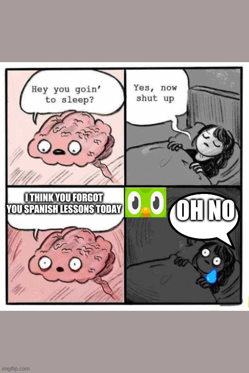 Hey you going to sleep? | I THINK YOU FORGOT YOU SPANISH LESSONS TODAY; OH NO | image tagged in hey you going to sleep | made w/ Imgflip meme maker