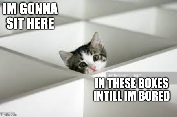 marble boxes | IM GONNA SIT HERE; IN THESE BOXES INTILL IM BORED | image tagged in marble boxes | made w/ Imgflip meme maker
