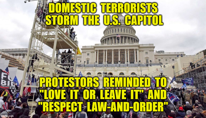 Trump thought he had EIGHT years to create the banana republic | DOMESTIC  TERRORISTS  STORM  THE  U.S.  CAPITOL; PROTESTORS  REMINDED  TO
"LOVE  IT  OR  LEAVE  IT"  AND
"RESPECT  LAW-AND-ORDER" | image tagged in donald trump,protestors,capitol building,2020,memes | made w/ Imgflip meme maker