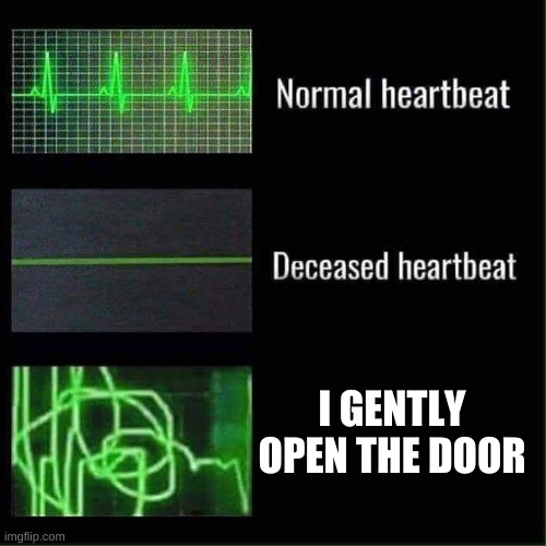 Heart beat meme | I GENTLY OPEN THE DOOR | image tagged in heart beat meme | made w/ Imgflip meme maker